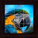 Birds Puzzles - 100 Pictures APK