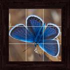 Butterflies Puzzles - 100 Pictures icon