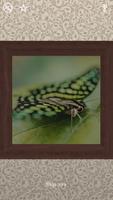 Butterflies Puzzles - 100 Pictures imagem de tela 1