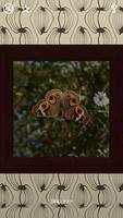 Butterflies Puzzles - 100 Pictures imagem de tela 2