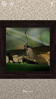 Butterflies Puzzles - 100 Pictures imagem de tela 3