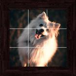 Puppies Puzzles - 100 Pictures