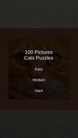 Cats Puzzles - 100 Pictures poster