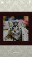 Cats Puzzles - 100 Pictures اسکرین شاٹ 2