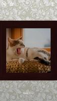 Cats Puzzles - 100 Pictures اسکرین شاٹ 3
