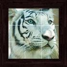 Animals Puzzles - 100 Pictures icône