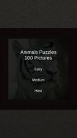 Animals Puzzles - 100 Pictures Affiche