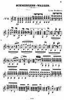 Beethoven Three Waltzs screenshot 2
