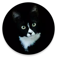 Spot The Cat APK download