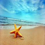 Ocean online Relax