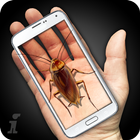 Cockroach Hand Funny Joke icon