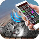 Sleep Cat Simulator Joke APK