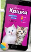 Мои питомцы. Кошки Lite Affiche