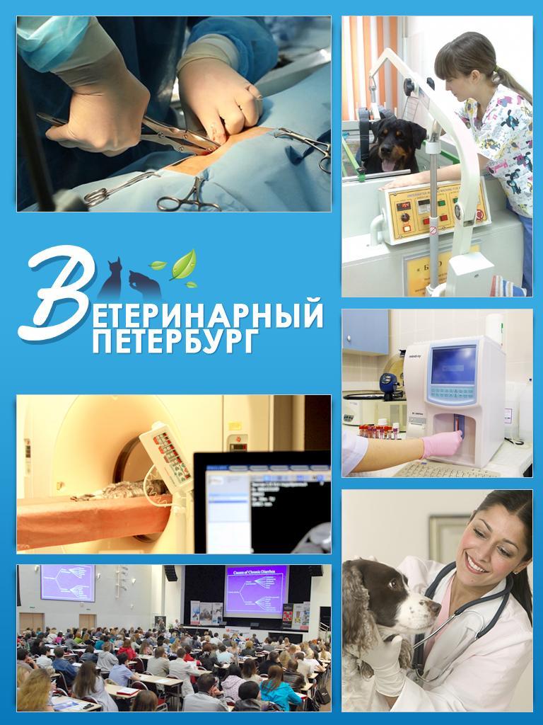 Ветеринарный петербург Ветеринарный петербург