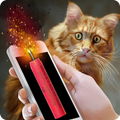 Bang Petard Deafened Cat Joke
