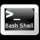 BASH Programming APK