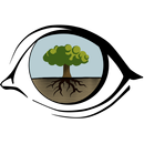 WRB tool for Android APK