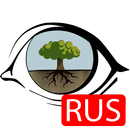 WRB tool for Android RUS APK