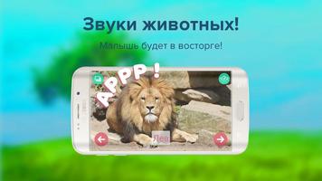 Карточки с животными учим screenshot 2