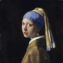 Vermeer APK