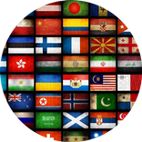 Языковой переводчик