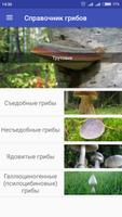Справочник грибов для грибника Affiche