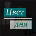 Цвет дня. Нумерология.