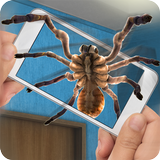 Spider in Face Prank aplikacja