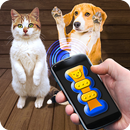Training Cat Dog Clicker Simulator APK