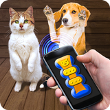 Training Cat Dog Clicker Simulator Zeichen