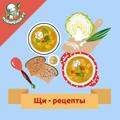 Щи – лучшие кулинарные рецепты
