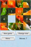 Poster 15 Puzzle
