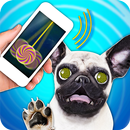 Simulator Dog Hypnosis Joke APK