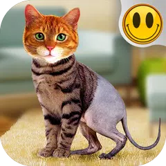 Descargar APK de Simulador Morph Gato