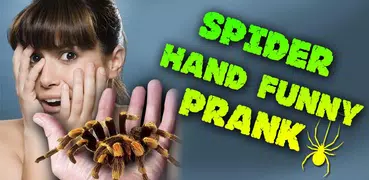 Spider Hand Funny Prank