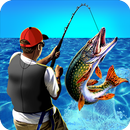 Real Fishing Summer Simulator-APK