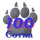 Кот плюс Пёс равняется Сотка! ícone