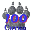 Кот плюс Пёс равняется Сто!