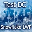 Test DC Snowflake LWP