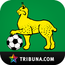 Гомель+ Tribuna.com APK