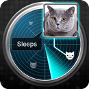 Radar What Makes Cat Joke APK