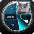 Radar Ce qui fait Cat Joke icône