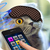 Sleep Cat Music Joke APK