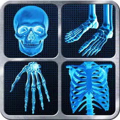 Baixar X-Ray completa Prank corpo APK