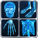 X-Ray complet Prank corps APK