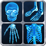 X-Ray completa Prank corpo APK