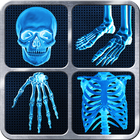 X-Ray Full Body Prank ไอคอน