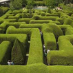 Strange maze