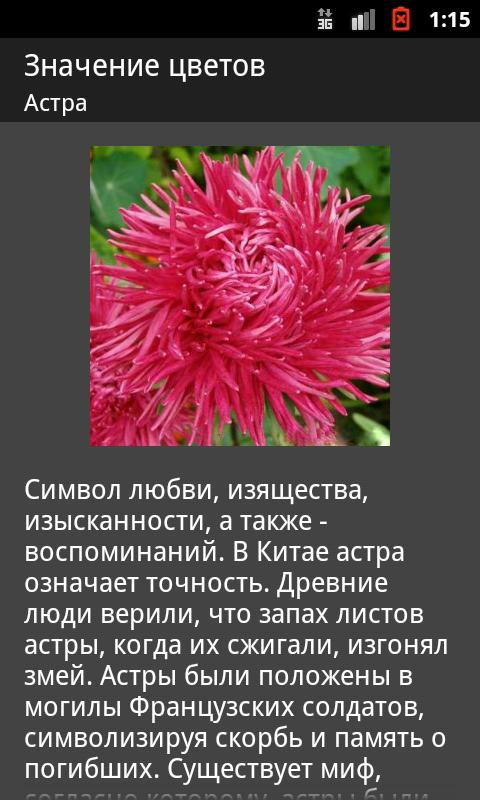 В цвету значение. Растение символ любви. Значение цветка. Астра на языке цветов. Цветы означающие боль.