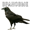 Манок на ворон и сорок APK